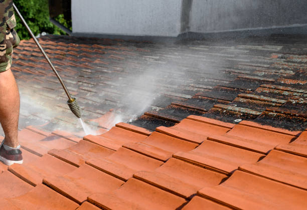 Best Best Pressure Washing Companies  in Rossvle, IL