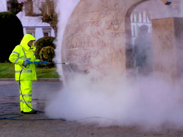 Best Power Washing Near Me  in Rossvle, IL