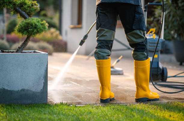 Best Residential Pressure Washing Services  in Rossvle, IL